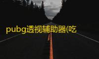 pubg透视辅助器(吃鸡透视辅助软件)
